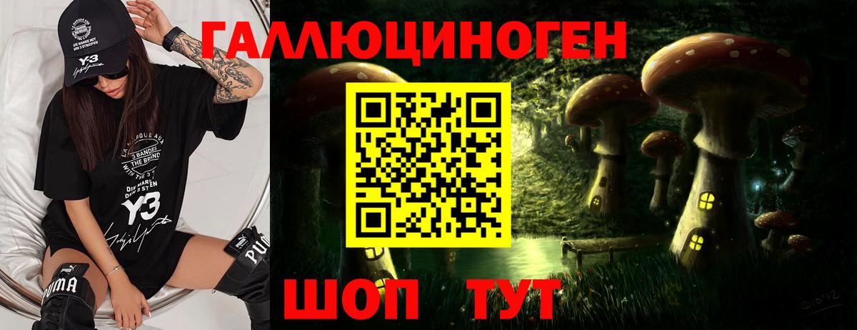 Электросталь  Галлюциногенные грибы прущие грибы  Вход с VPN 